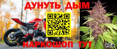 гидропоника Славянск-на-Кубани