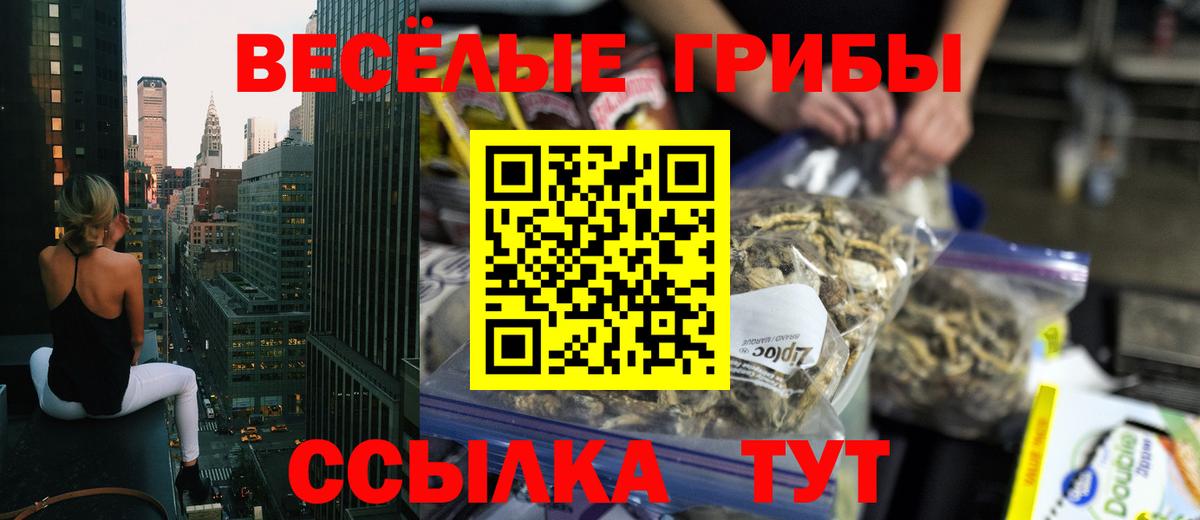 Похвистнево  Галлюциногенные грибы GOLDEN TEACHER  Псилоцибиновые грибы Psilocybine cubensis  Вход с VPN 